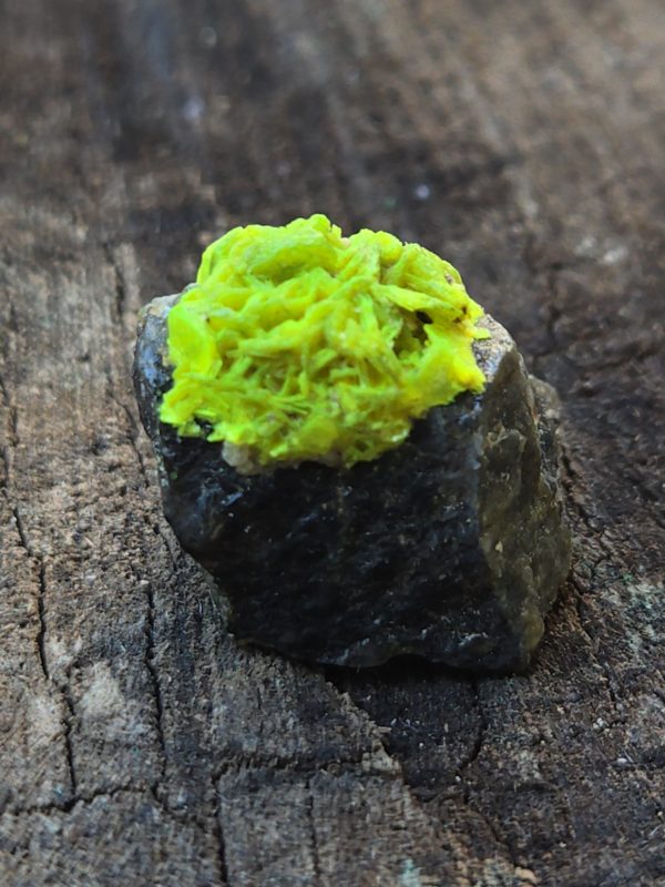 Autunite on Matrix  ~ Fluorescent Uranium Ore - Image 4