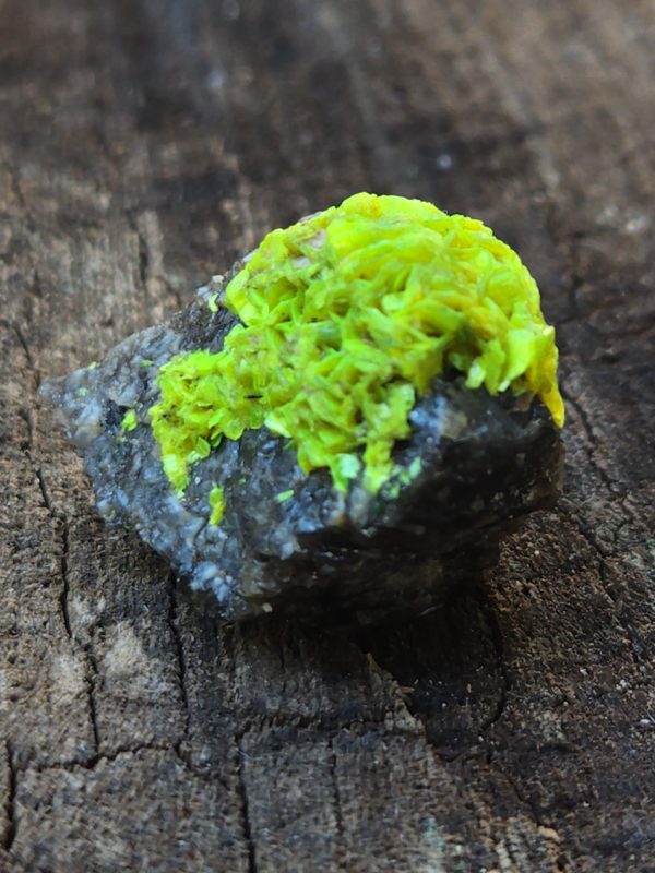 Autunite on Matrix  ~ Fluorescent Uranium Ore - Image 5
