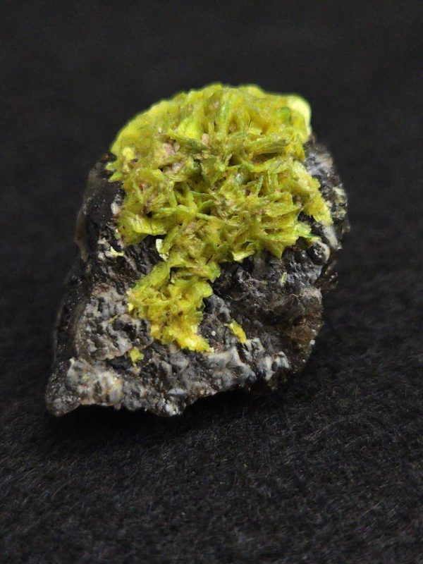 Autunite on Matrix  ~ Fluorescent Uranium Ore - Image 6