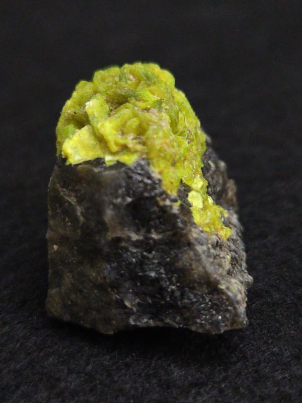 Autunite on Matrix  ~ Fluorescent Uranium Ore - Image 7