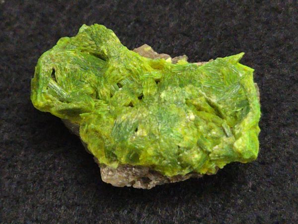 Autunite on Matrix ~ Fluorescent Uranium Ore