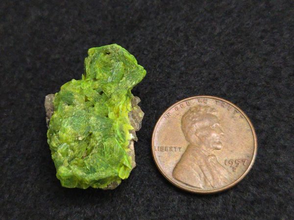 Autunite on Matrix  ~ Fluorescent Uranium Ore - Image 10