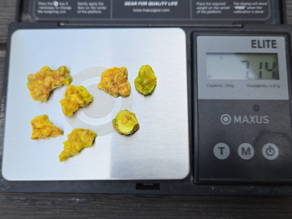 7 Piece Autunite Lot ~ Fluorescent Uranium Ore