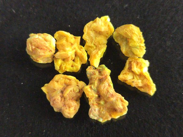 7 Piece Autunite Lot  ~ Fluorescent Uranium Ore - Image 5