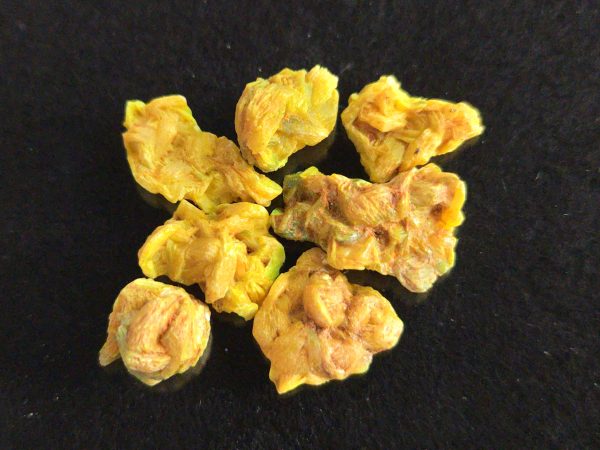 7 Piece Autunite Lot  ~ Fluorescent Uranium Ore - Image 7