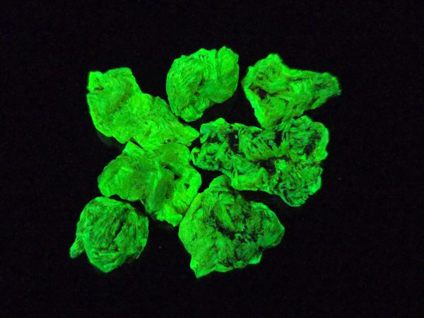 7 Piece Autunite Lot ~ Fluorescent Uranium Ore