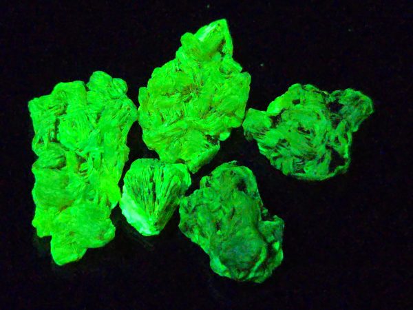 5 Piece Autunite Lot ~ Fluorescent Uranium Ore